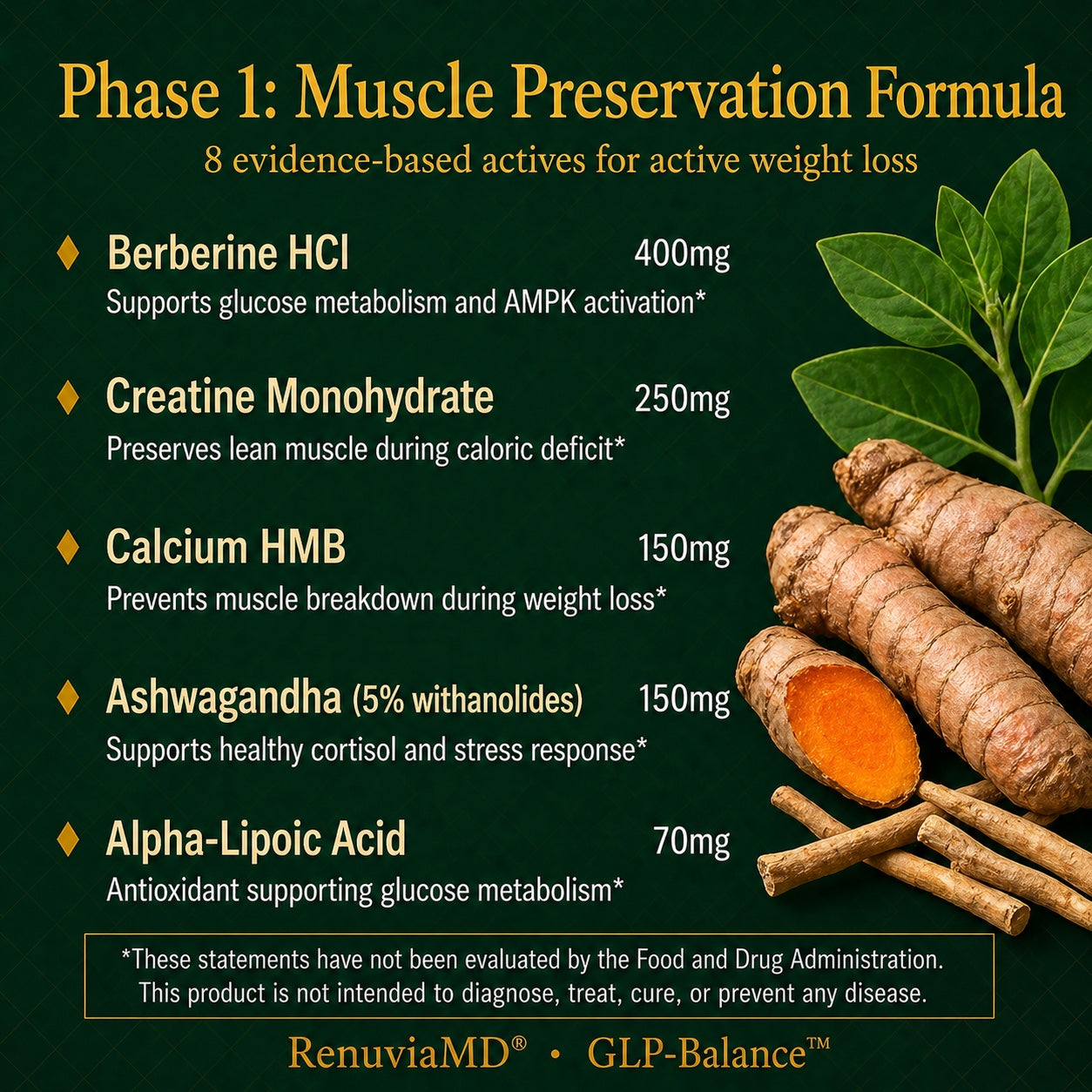 MetaboStart Enhanced — Key Ingredients & Benefits