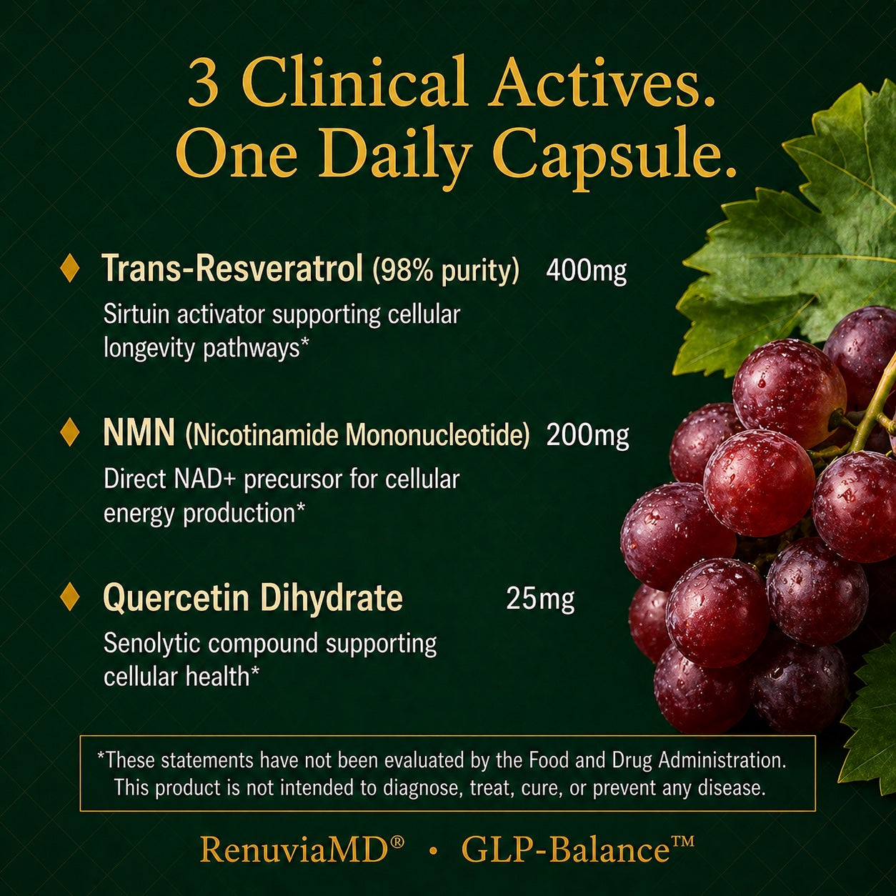 NAD+ Enhanced — Key Ingredients & Benefits