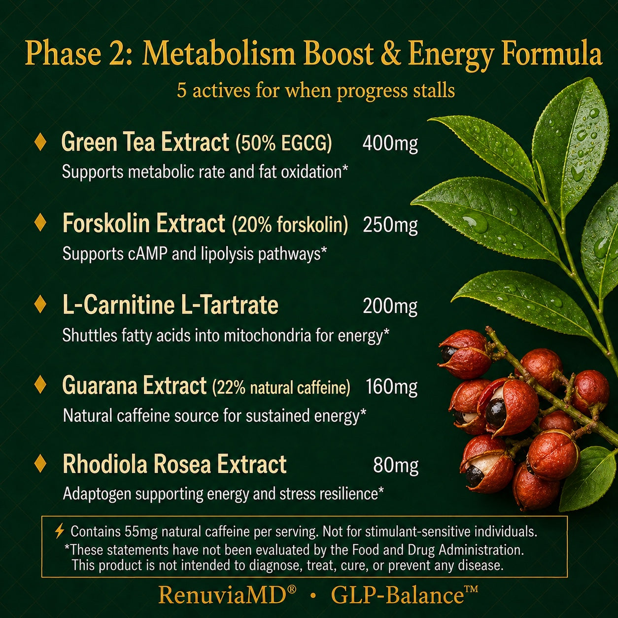 Plateau Reset — Key Ingredients & Benefits